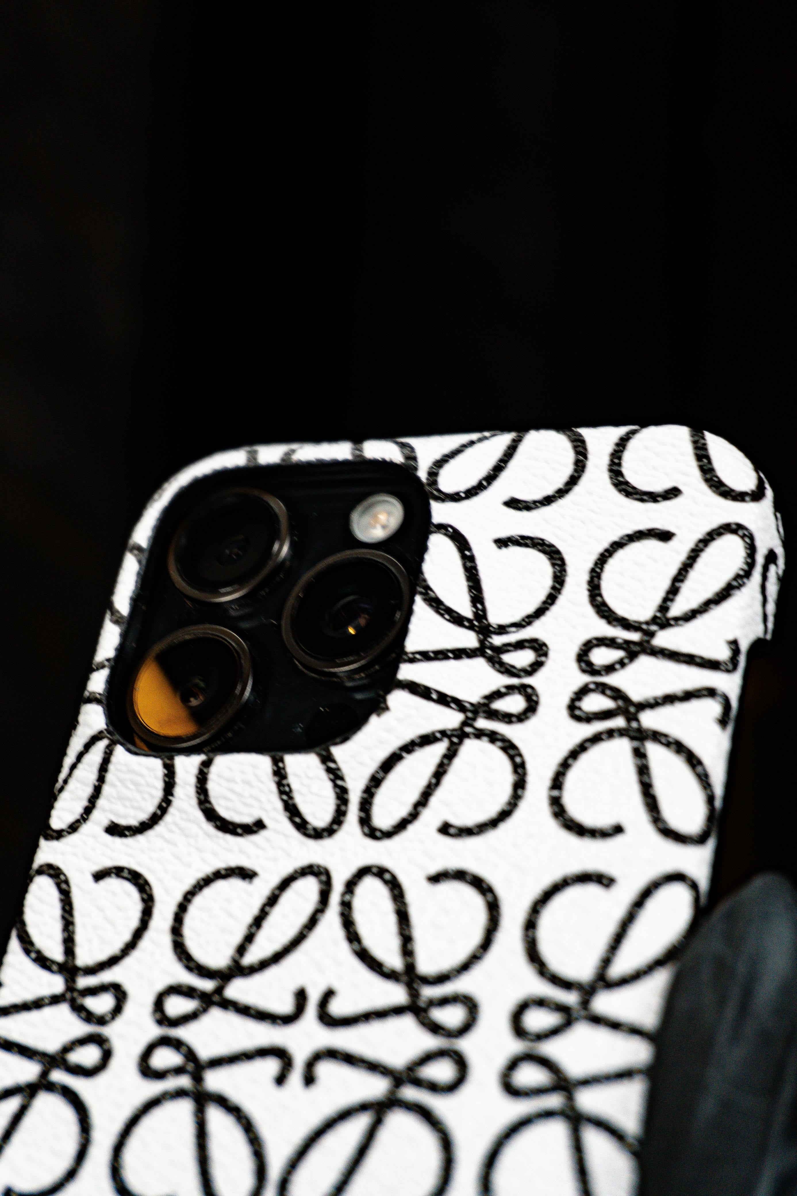 Cases Loewe