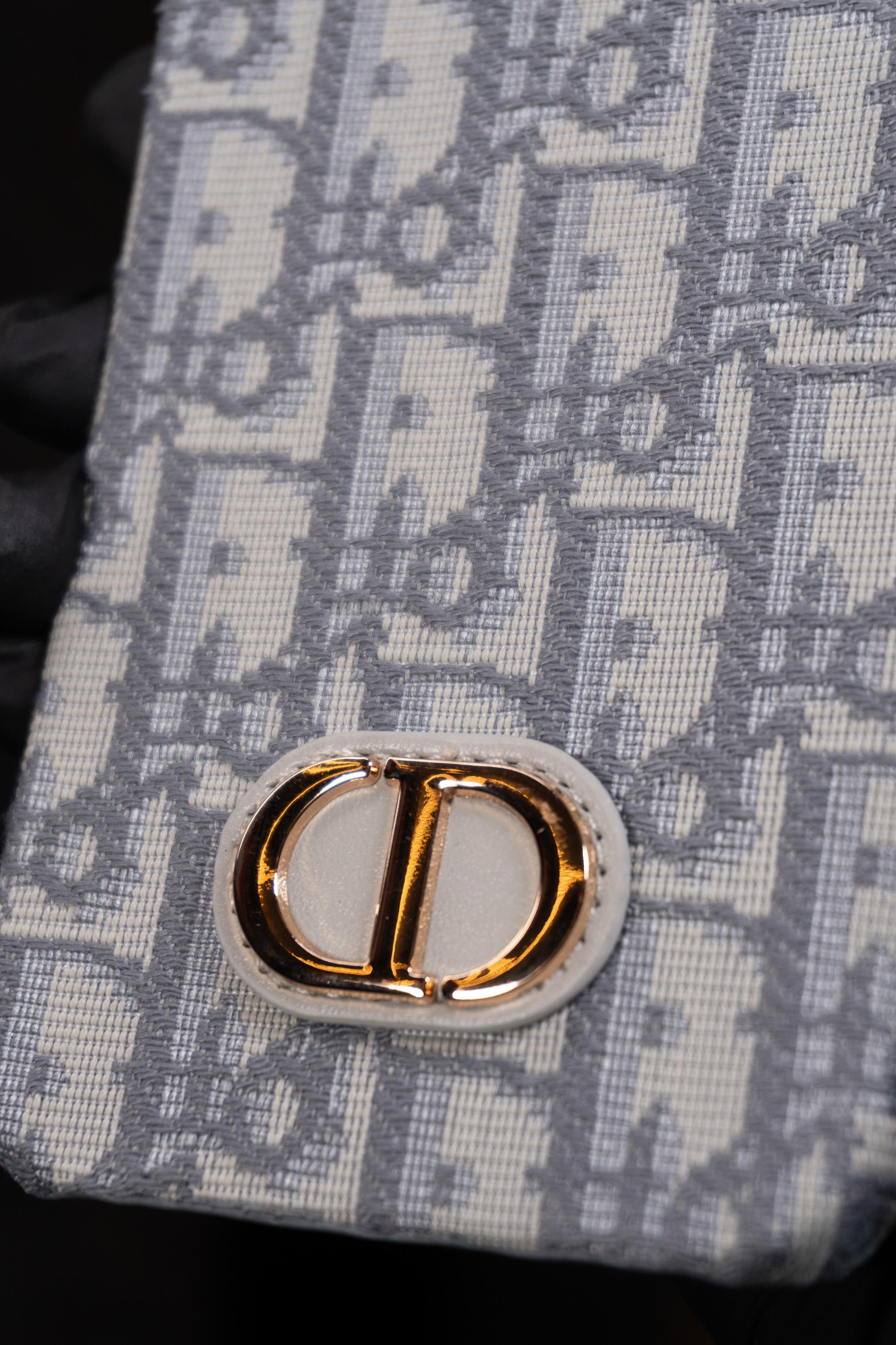 Cases Dior Claro